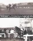 Wantha Davis, riding Northeast, beats the top male jockey at the time, Racing Hall of Famer Johnny Longden, in a special exhibition match race at Agua Caliente, Mexico. December 18, 1949 (29kb)